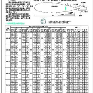 雙頭霧化型